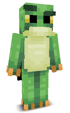 User's Minecraft appearance