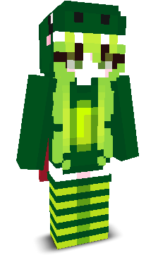 User's Minecraft appearance