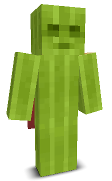 User's Minecraft appearance