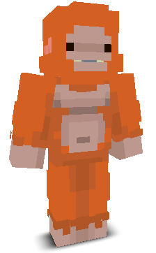 User's Minecraft appearance