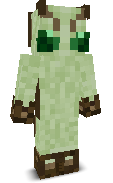 User's Minecraft appearance