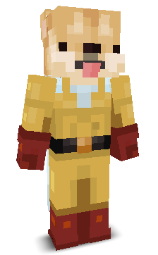 User's Minecraft appearance