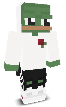 User's Minecraft appearance
