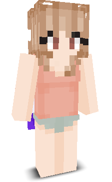 User's Minecraft appearance