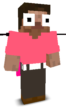 User's Minecraft appearance