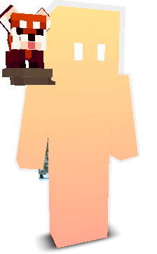 User's Minecraft appearance