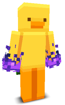 User's Minecraft appearance