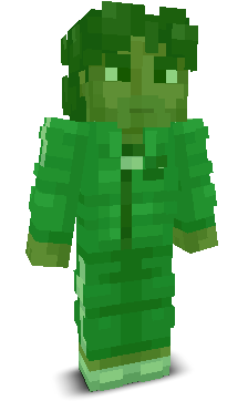 User's Minecraft appearance