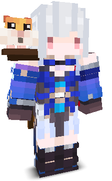 User's Minecraft appearance