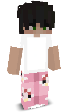 Skin gracza kop3rek_