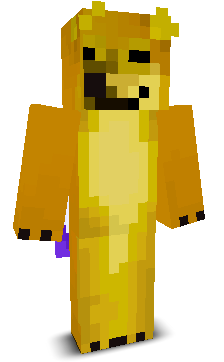 User's Minecraft appearance