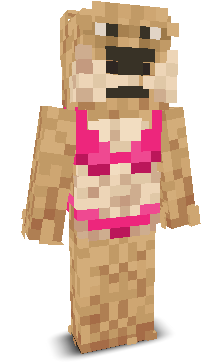 User's Minecraft appearance