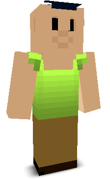 User's Minecraft appearance