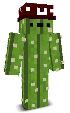 User's Minecraft appearance