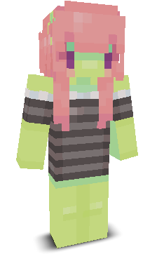 User's Minecraft appearance