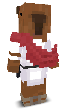 User's Minecraft appearance