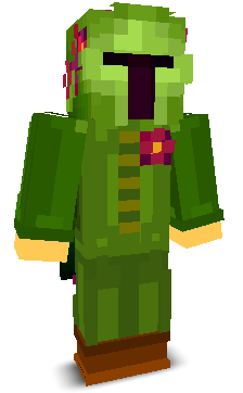 User's Minecraft appearance