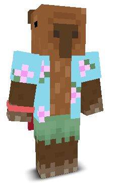 User's Minecraft appearance