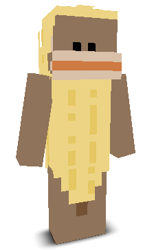 User's Minecraft appearance