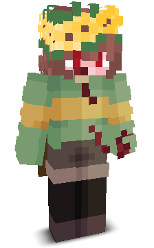 User's Minecraft appearance