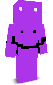User's Minecraft appearance
