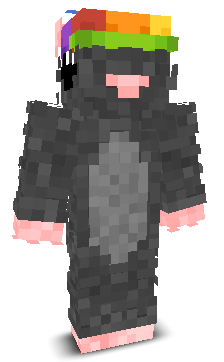 User's Minecraft appearance