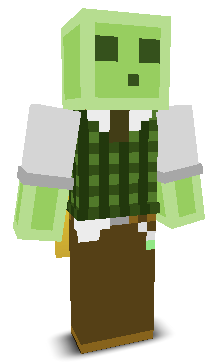 User's Minecraft appearance