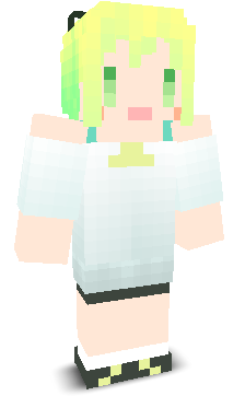User's Minecraft appearance