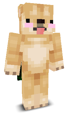 User's Minecraft appearance