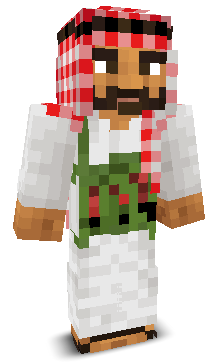 User's Minecraft appearance