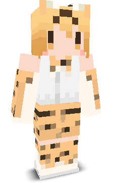 User's Minecraft appearance