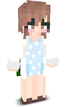 User's Minecraft appearance