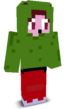 User's Minecraft appearance