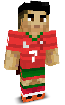 User's Minecraft appearance
