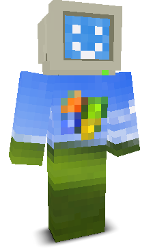 User's Minecraft appearance