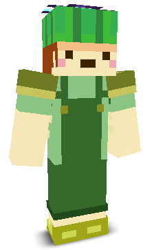 User's Minecraft appearance
