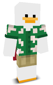 User's Minecraft appearance
