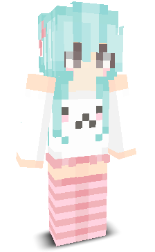 User's Minecraft appearance