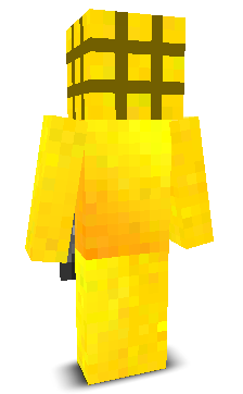 User's Minecraft appearance