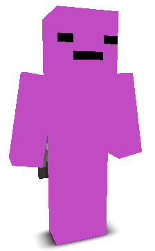 User's Minecraft appearance