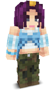 User's Minecraft appearance