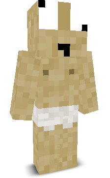 User's Minecraft appearance