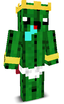 User's Minecraft appearance