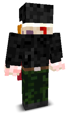 User's Minecraft appearance