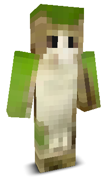 User's Minecraft appearance