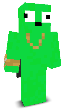 User's Minecraft appearance