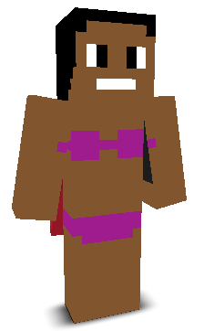 User's Minecraft appearance