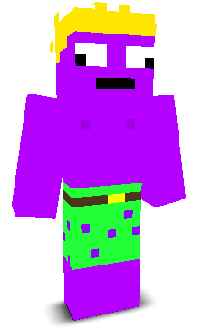 User's Minecraft appearance