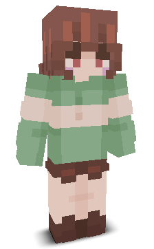 User's Minecraft appearance