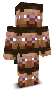 User's Minecraft appearance